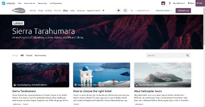 Website blog