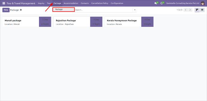 Travel Management System Packages Travel Management System Packages